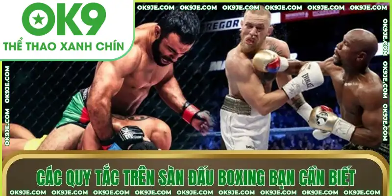 Các quy tắc trên sàn đấu boxing bạn cần biết