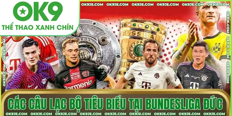 Các câu lạc bộ tiêu biểu tại Bundesliga Đức