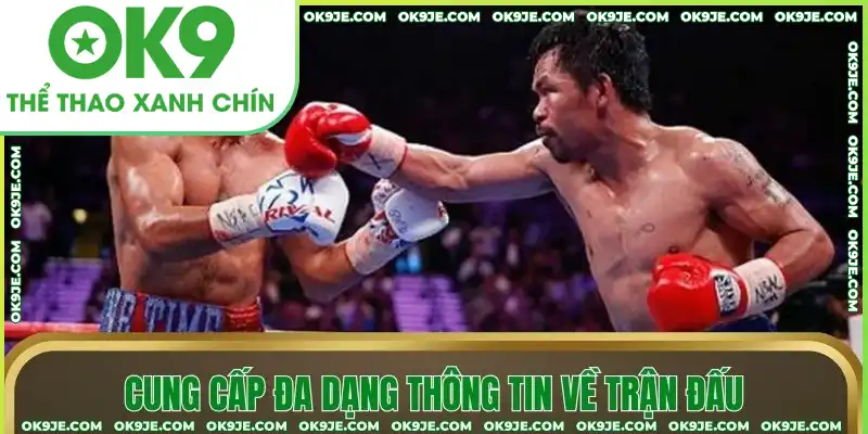 Cung cấp đa dạng thông tin về trận đấu