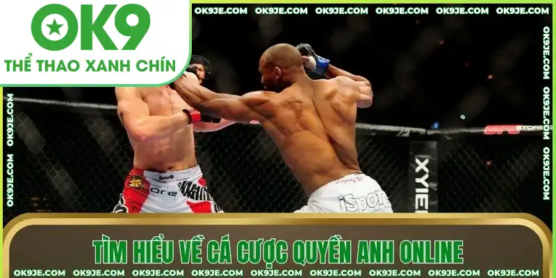 Tìm hiểu về cá cược quyền anh online