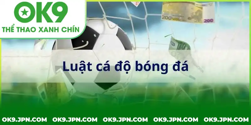 Quy định về trận đấu bị hủy theo luật cá độ bóng đá là gì